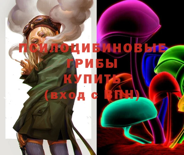 твердый Арсеньев