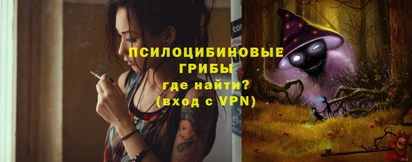 МДПВ Аркадак