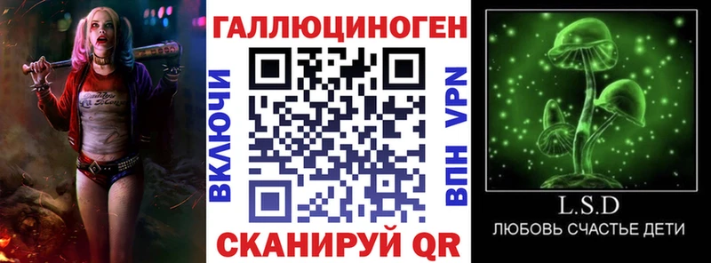Галлюциногенные грибы Psilocybe Майский